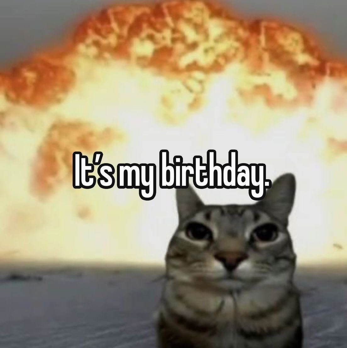 bring me castiel tweet media