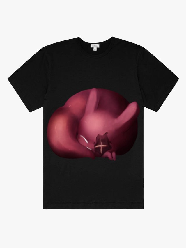 KING SCAV tweet media