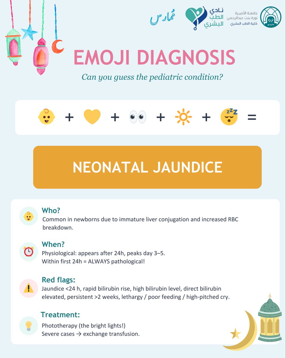 نوف التويجري tweet media