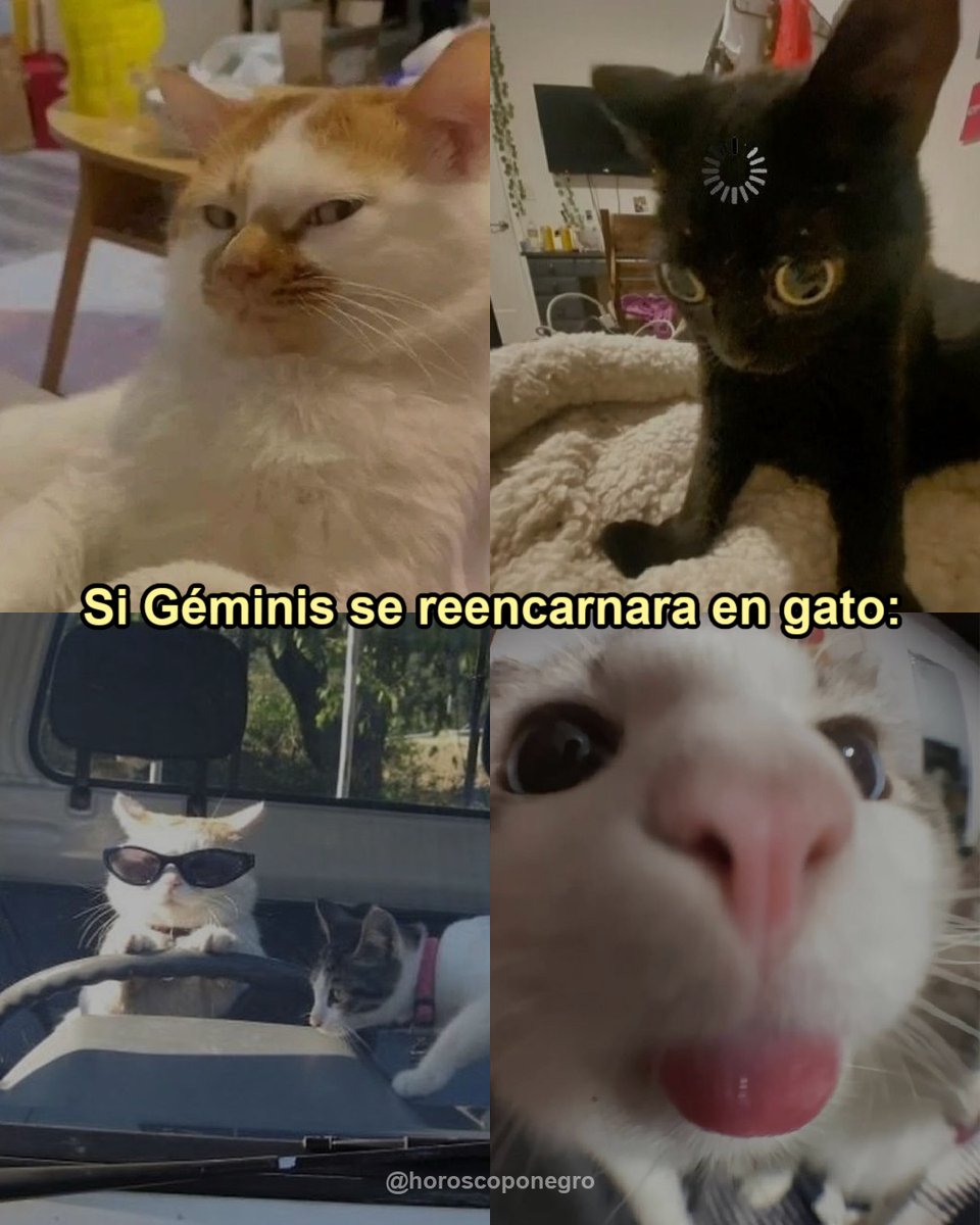 ▲GÉMINIS▲ tweet media