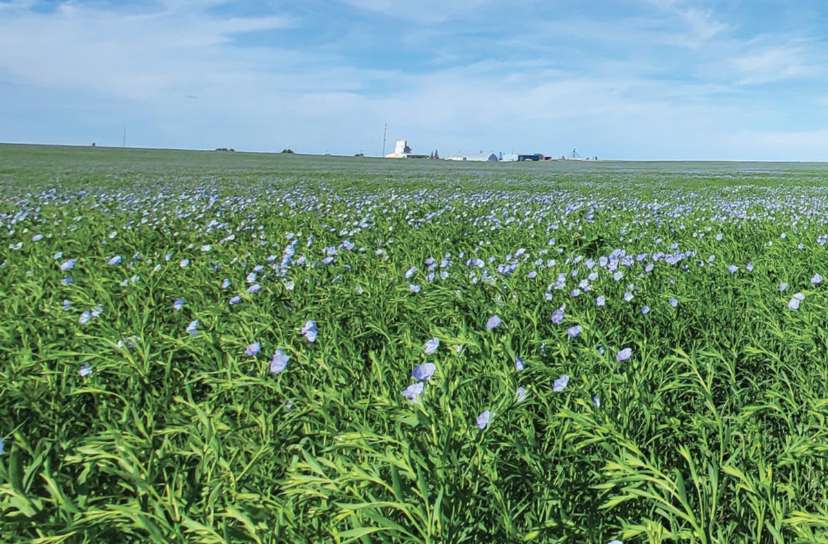 GrainsWest tweet media