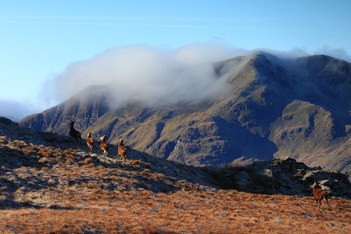 Mrs Walker-214 tweet media