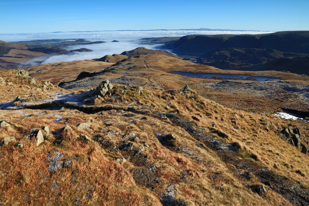 Mrs Walker-214 tweet media