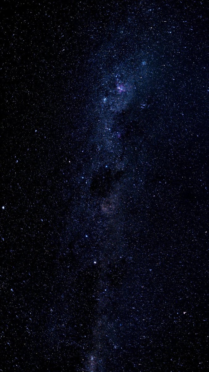 For all Curious tweet media