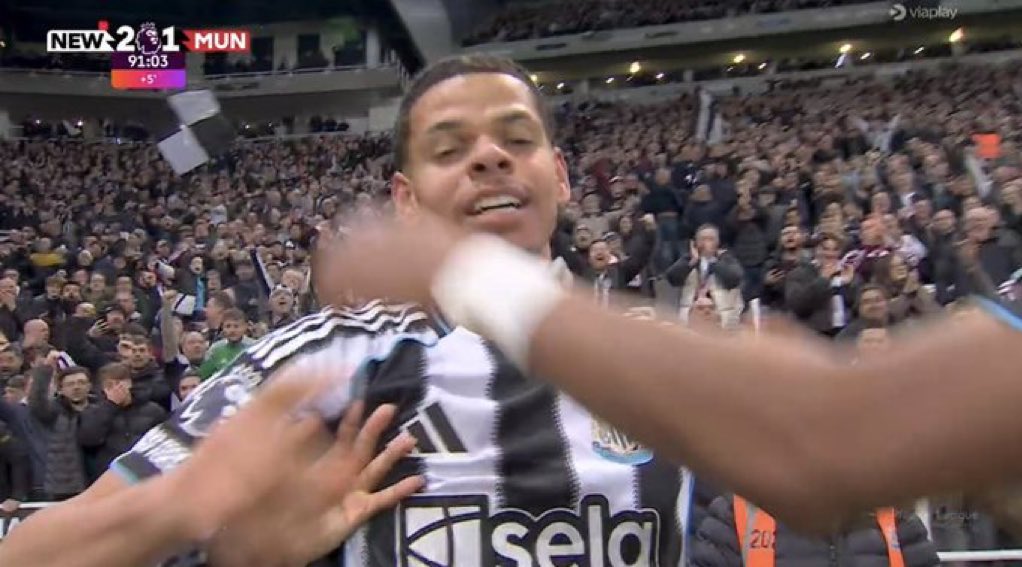 私のヤギ ✨☀️𓃵 tweet media