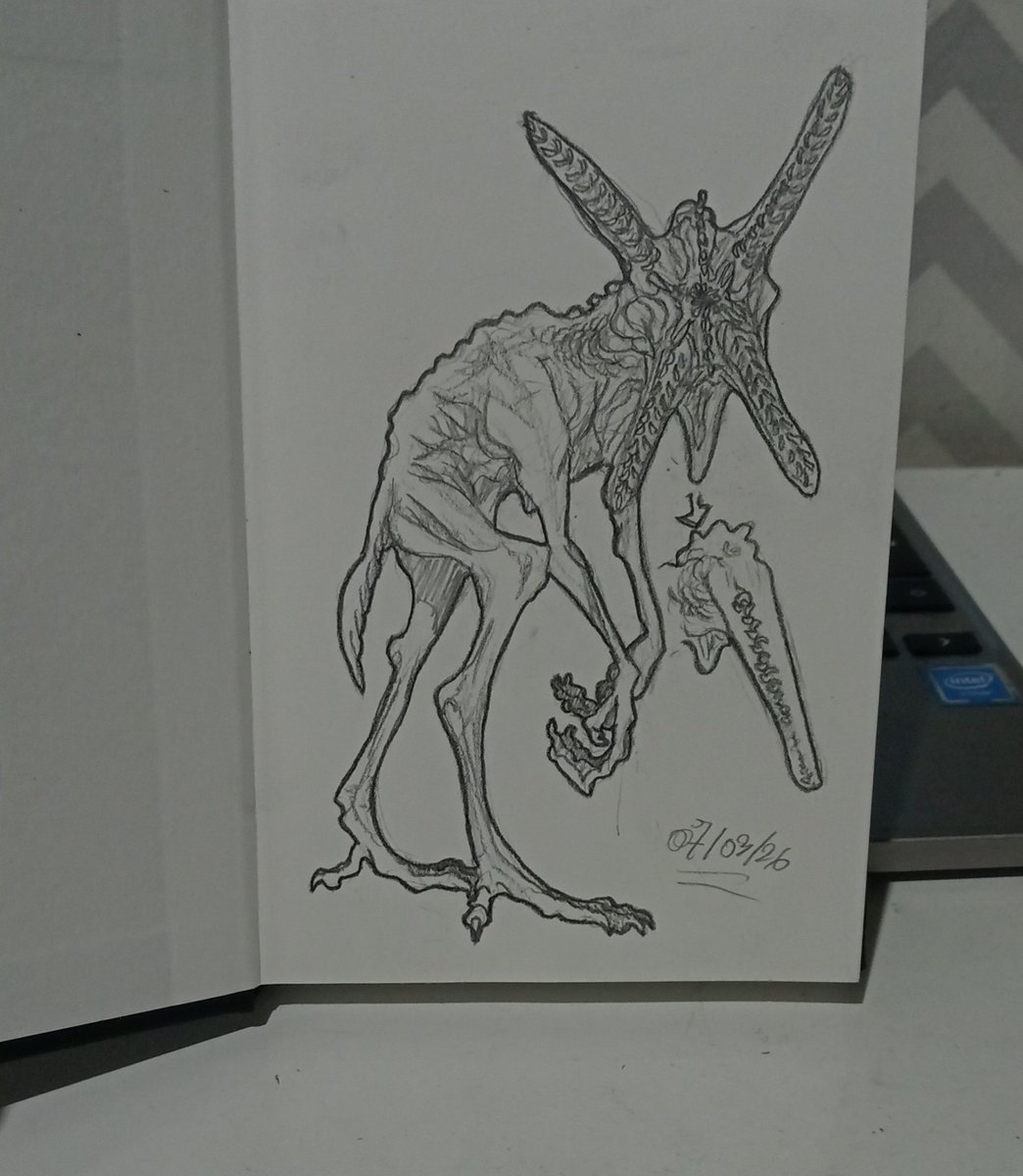 PreguinXtudo tweet media