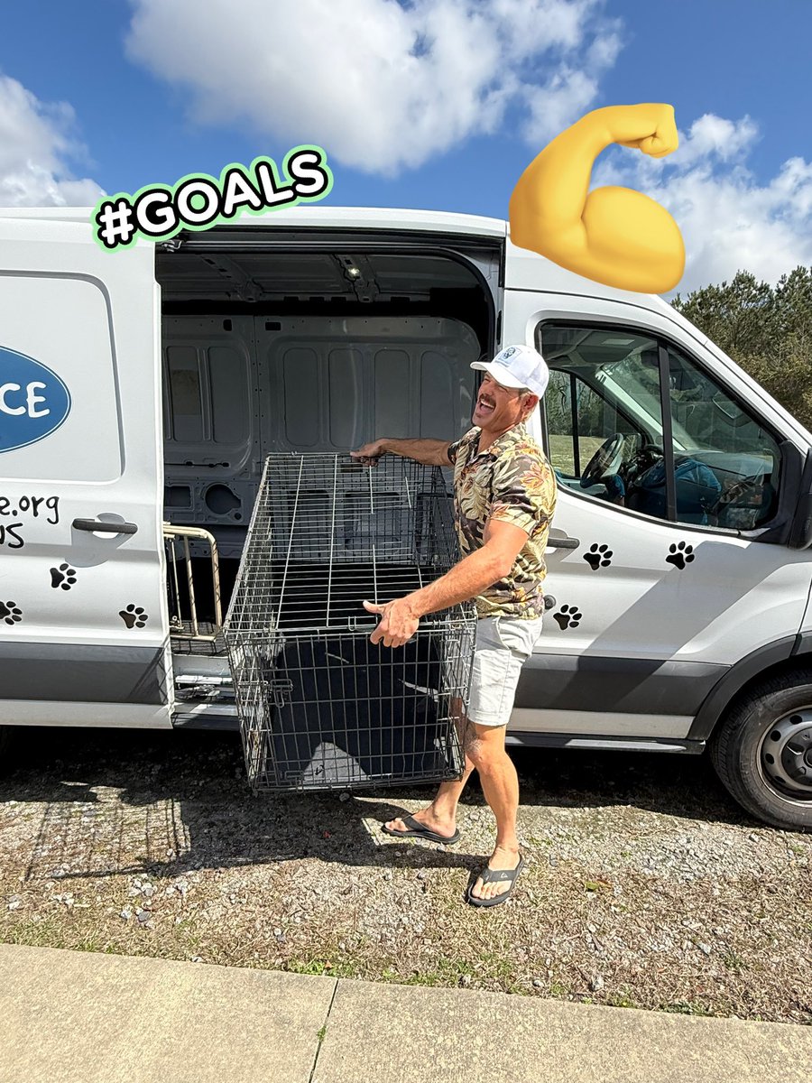 Trevor Donovan tweet media