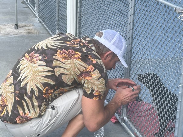 Trevor Donovan tweet media