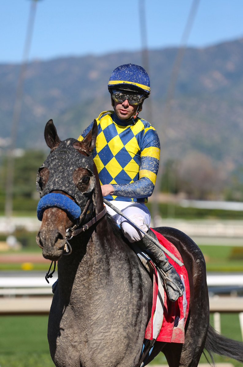 𝔅𝔯𝔲𝔦𝔫 🐻 𝔏𝔦𝔰𝔞 tweet media