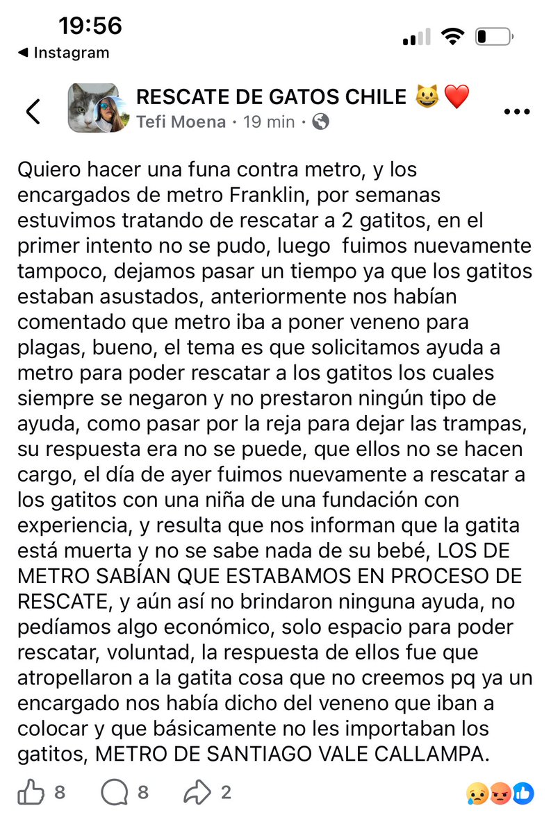 Madre de gatos tweet media