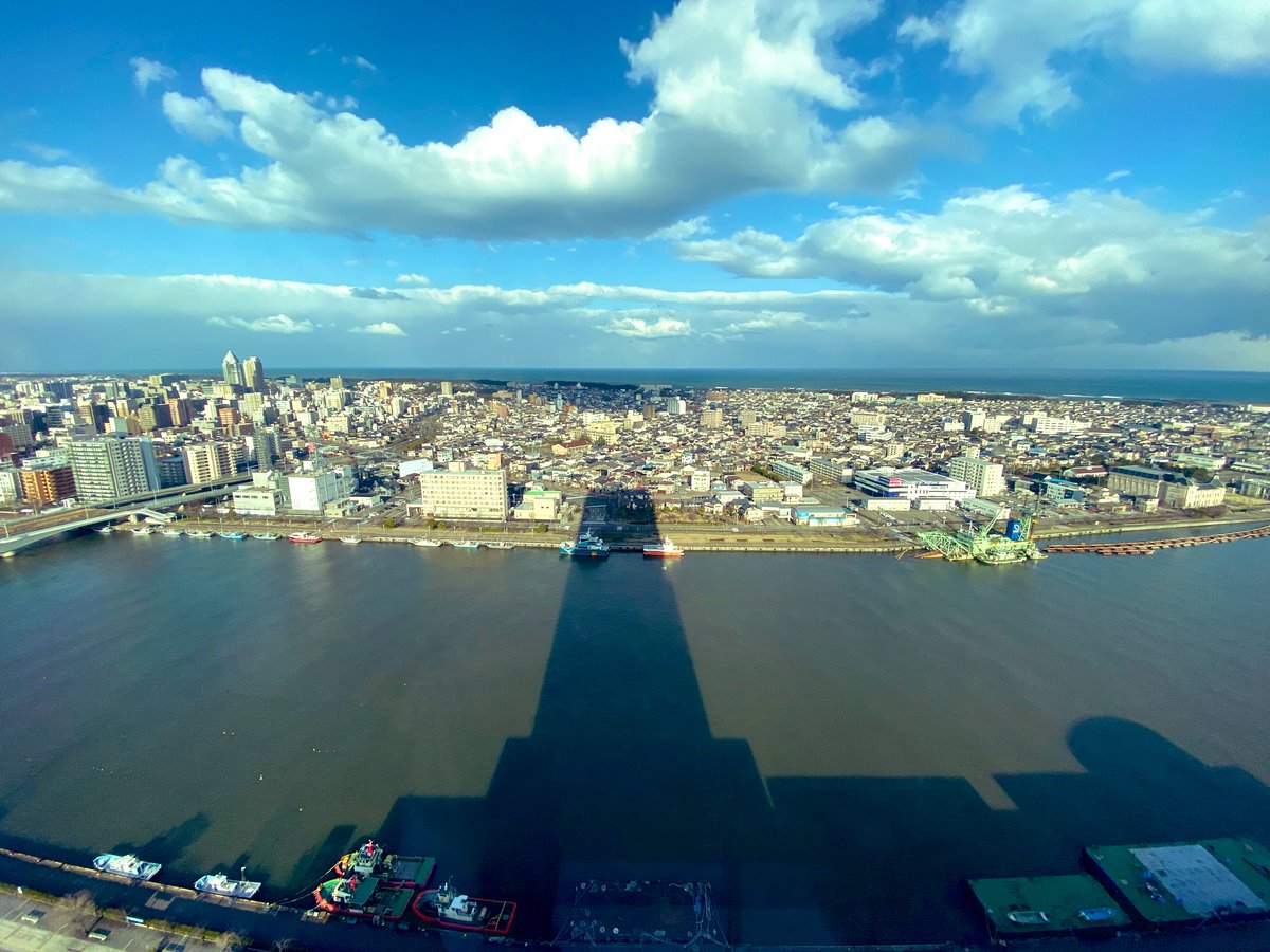 アルチ tweet media