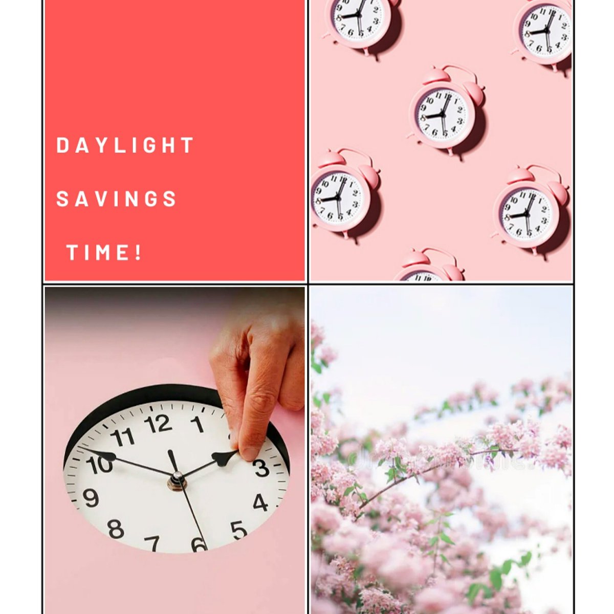 Stanton 🐴 Activities tweet media