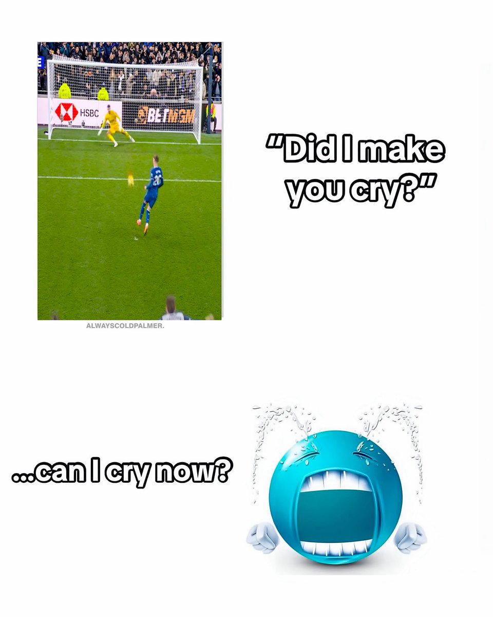 Always Cold Palmer tweet media