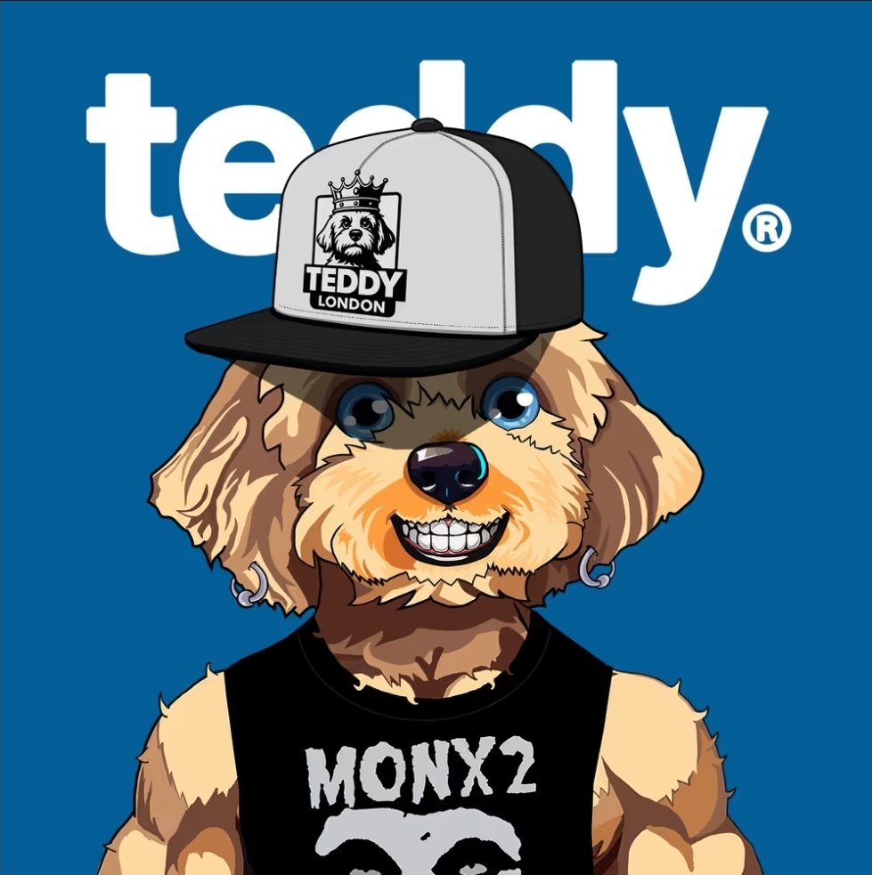 𝗧𝗛𝗘 𝗖𝗔𝗣𝗜𝗧𝗔𝗟𝗜𝗦𝗧 𝗖𝗟𝗢𝗪𝗡𝗦 💲 tweet media