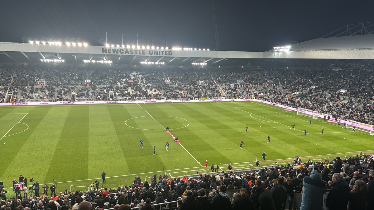 ⚫️⚪️ Toon Fanzone ⚪️⚫️ tweet media