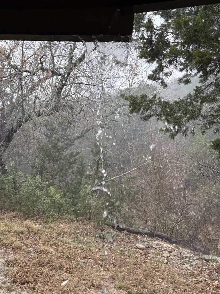 Tony Arce tweet media