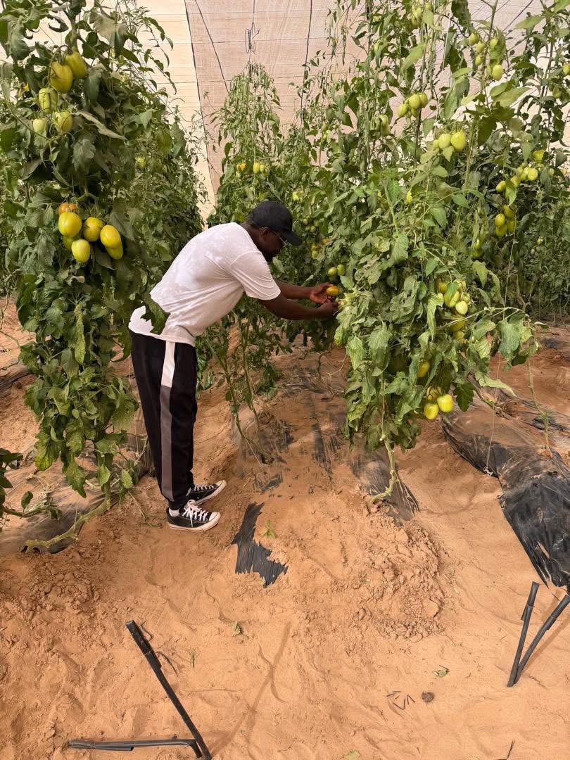 Dr Mabouba Diagne tweet media