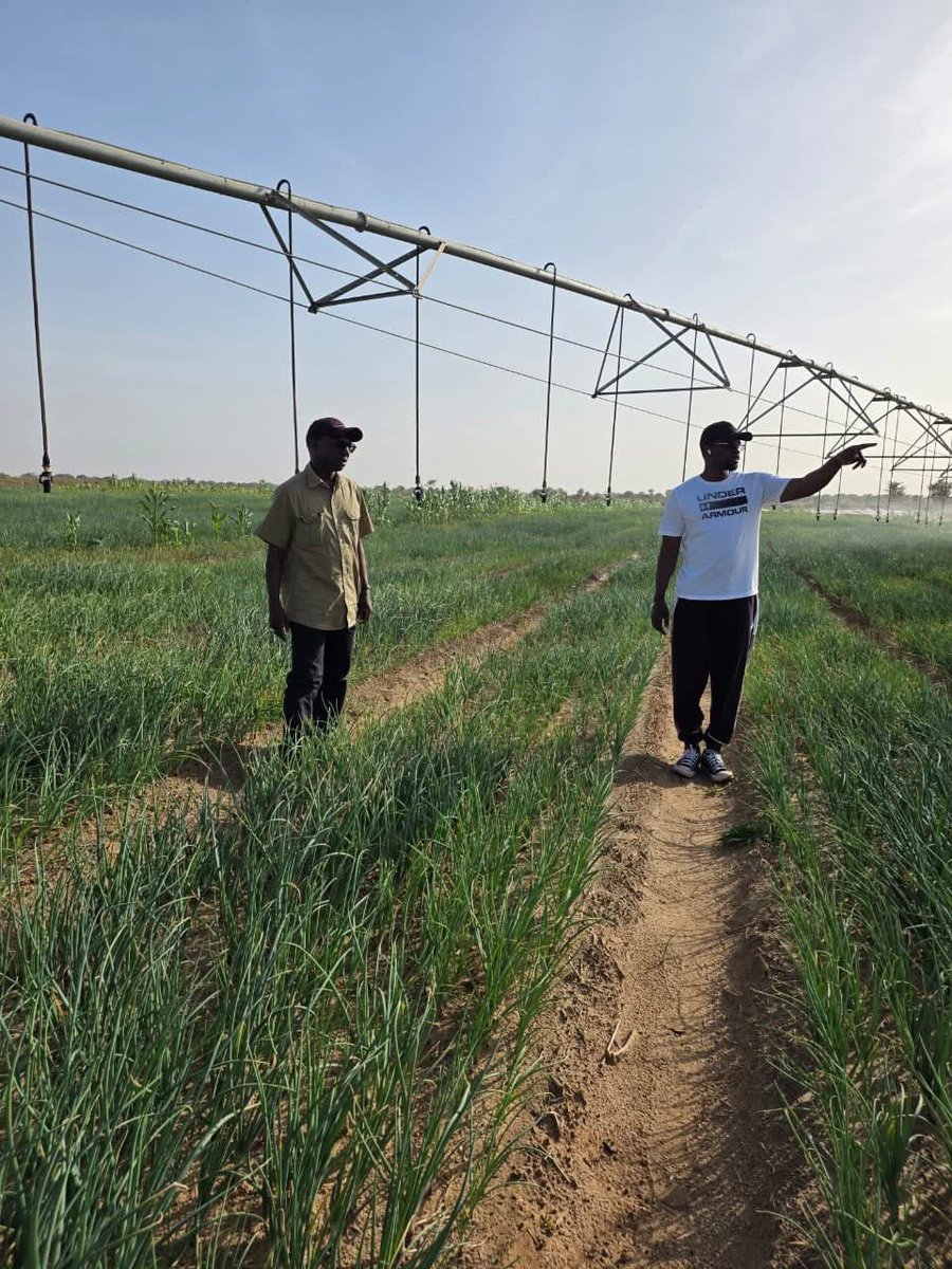 Dr Mabouba Diagne tweet media