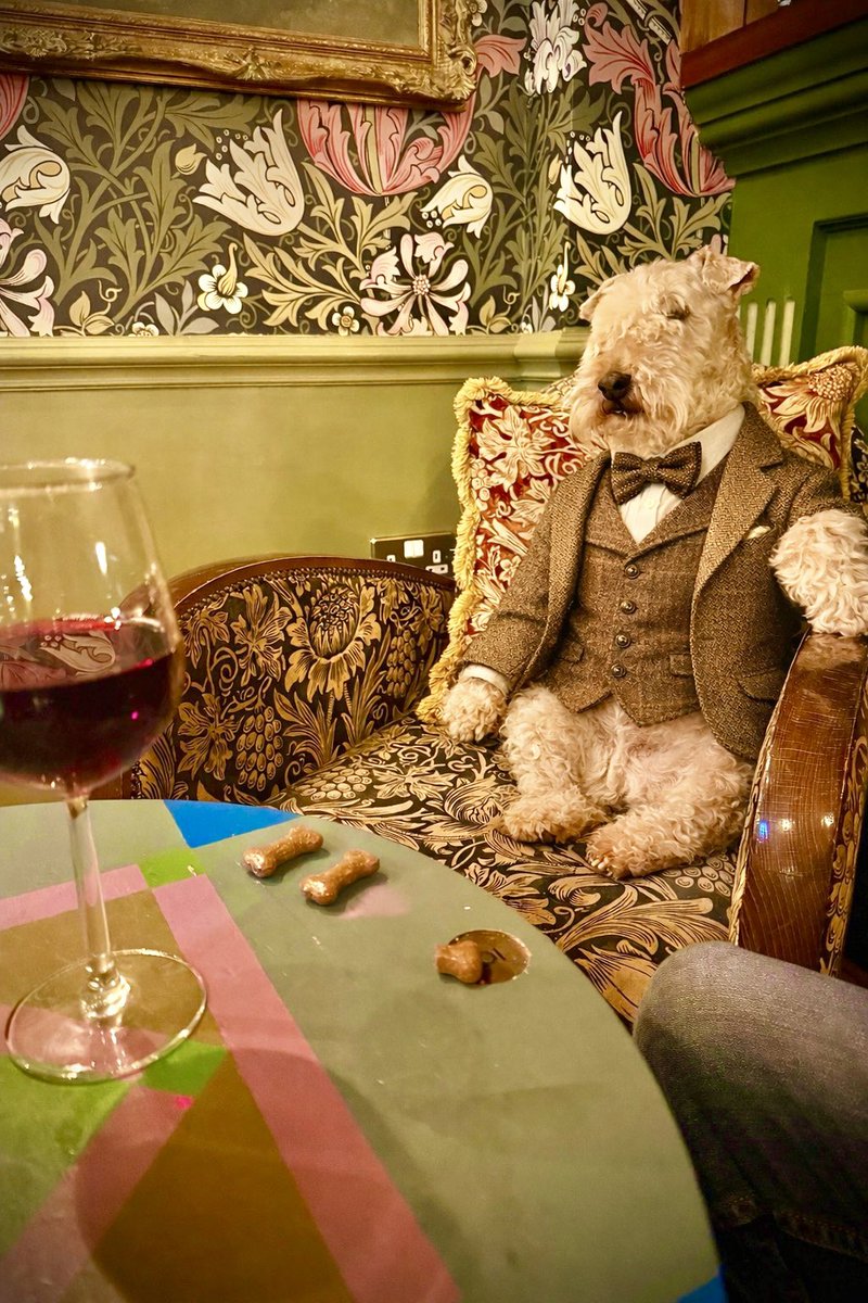 Bertie Lakeland tweet media