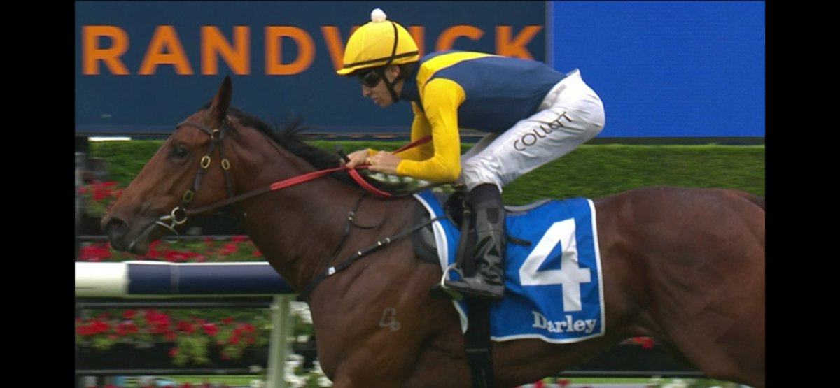 The X Trials tweet media