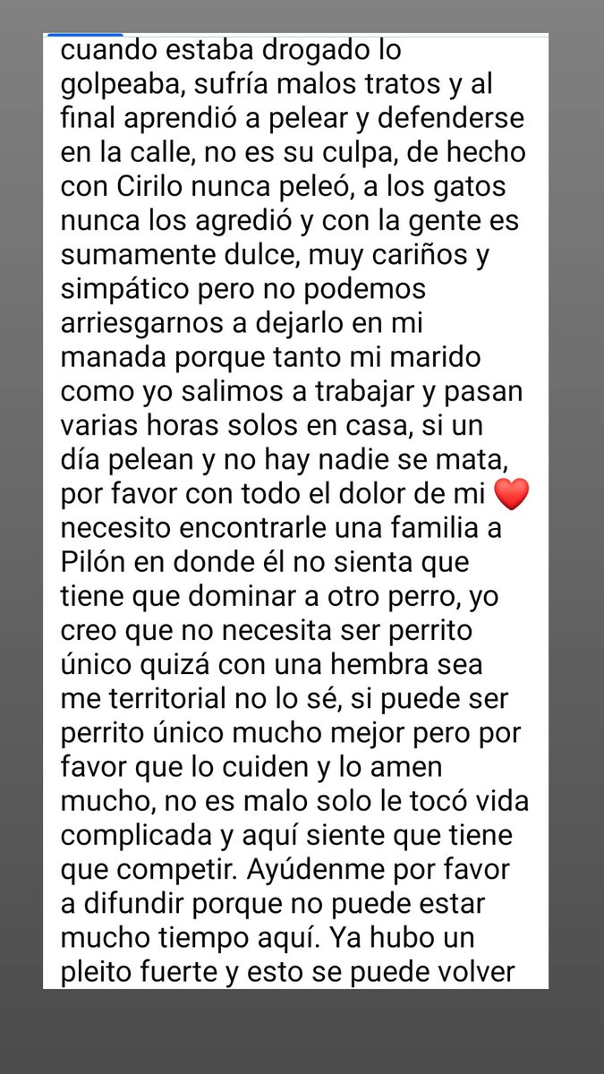 JAZZCERVANTS's tweet photo. 🚨Se que aquí casi nadie me lee pero ayúdenme porfa, necesito encontrarle una familia a "Piloncillo" (así lo nombramos en casa) era un perrito callejero pero no se lleva bien con uno de mis perros y pelean feo. Es muy tierno con la gente y ya lo llevé a esterilizar 🚨 https://t.co/fm8tI4wCSi