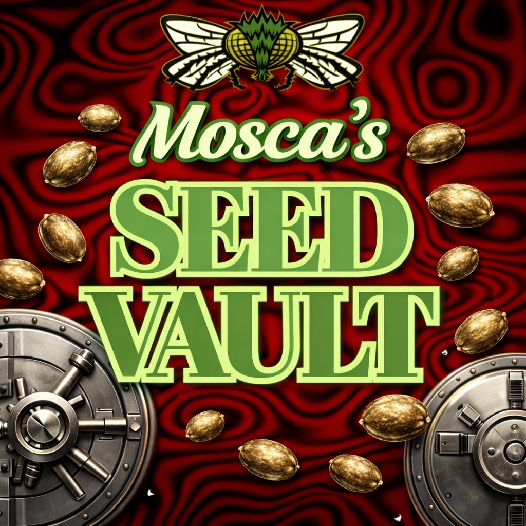 MoscaSeeds's tweet photo. 💚💚THE SEED VAULT IS OPEN!💚💚
🍃Rare Cultivar Alert: Get Your Hands on Hidden Gems Previously Unavailable!🍃
https://t.co/AZNzaRMWvR

#moscaseeds
#growyourown
#howtogrow
#cannabisseeds
#420
#maryjane
#moscavault https://t.co/nede6xOVR0