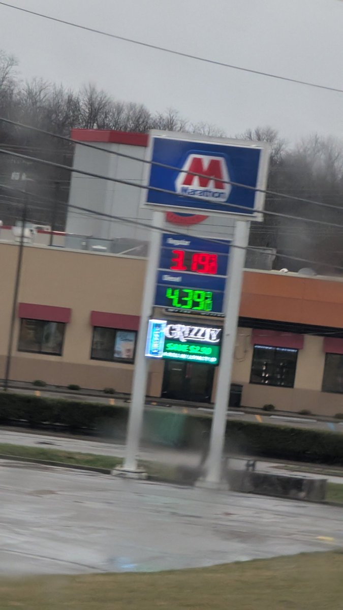 Average American 🦅 tweet media