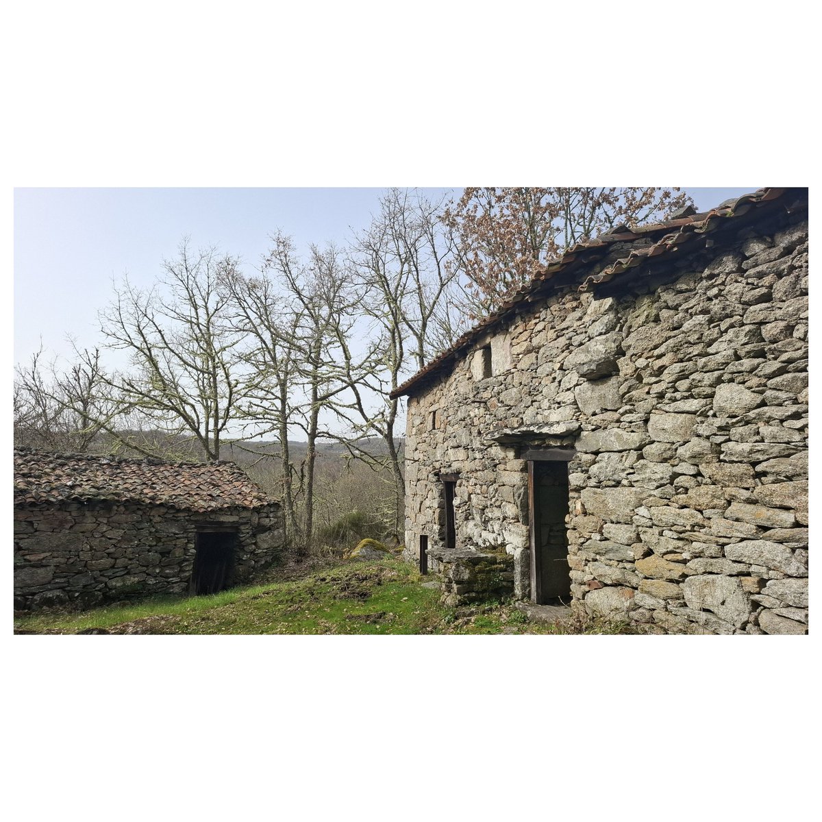 Fran García tweet media