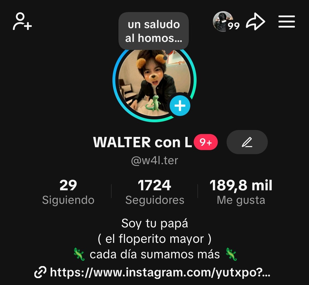 Amigamos por ttk o ig??