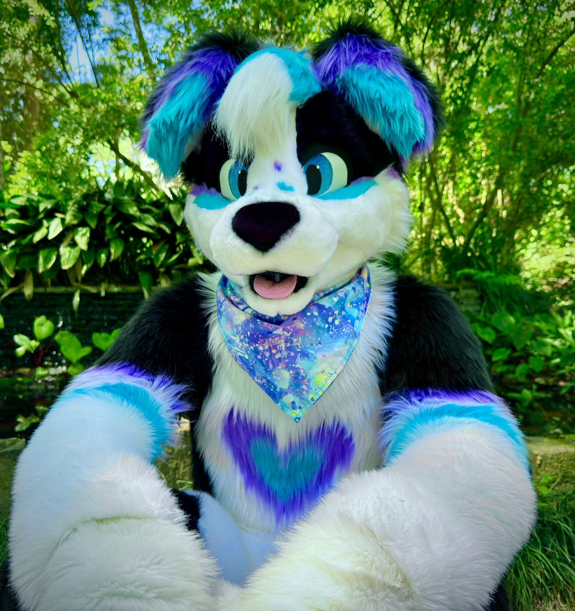 Hope Collie tweet media