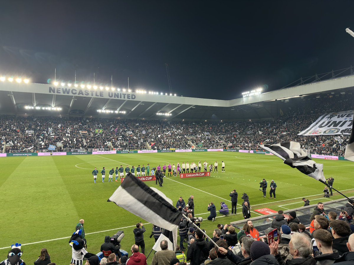 Stephen Howlett tweet media