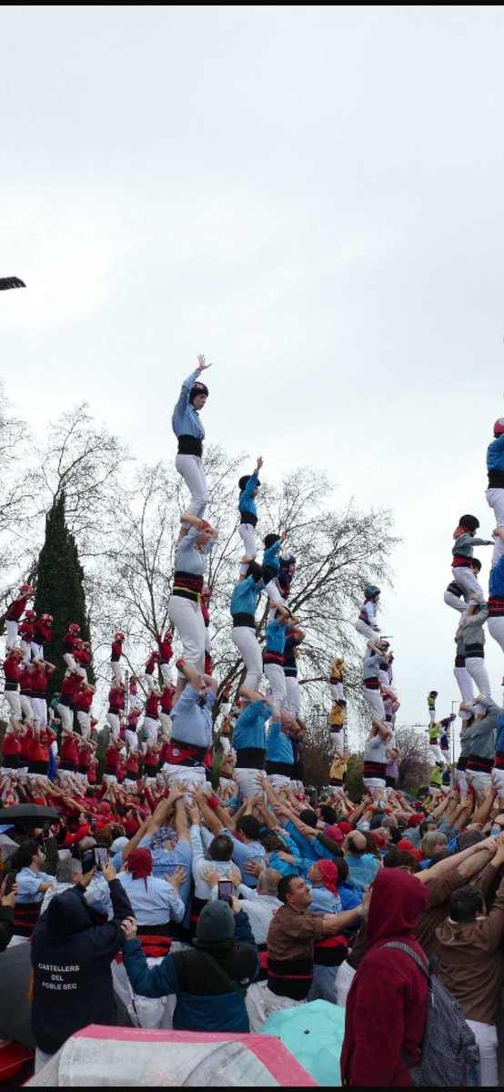 Castellers de Terrassa tweet media