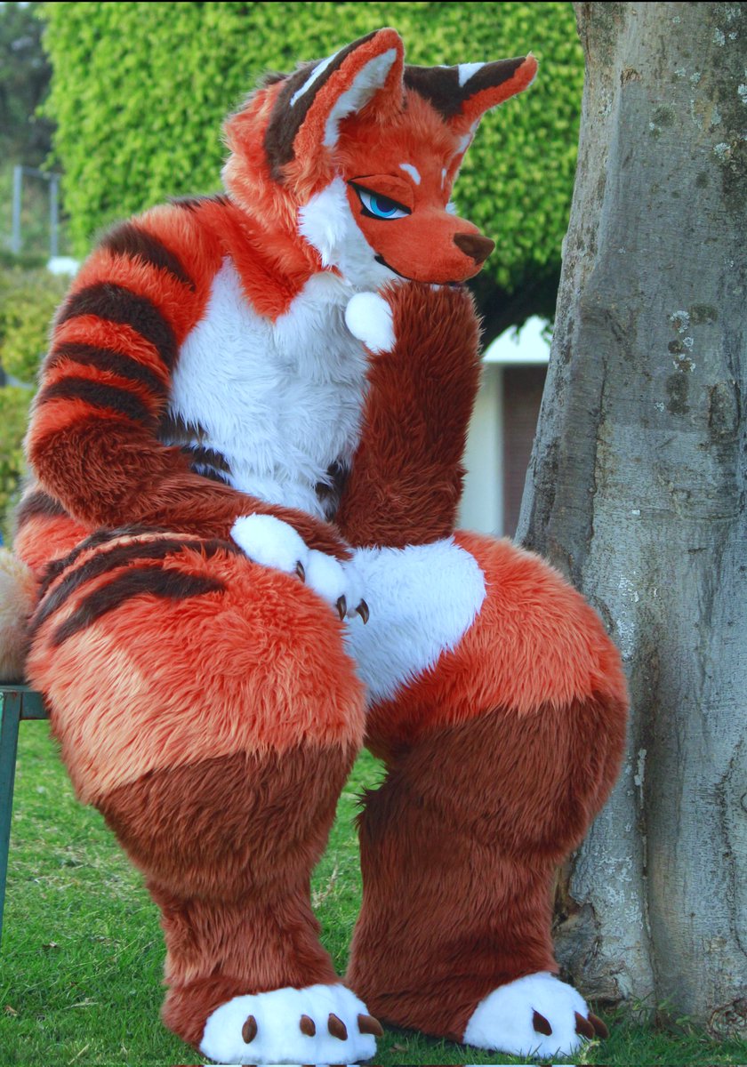 Bᵣₐᵧₐₙᵧₒₘᵦₑᵣₜₕₛₒₙₙ Wᵢₗₗₖₑᵢᵦₑᵣₛₒₙ ₓₓₛₛᵣᵢᵢₜₜₕ Yₑᵢᵦₑᵣ tweet media