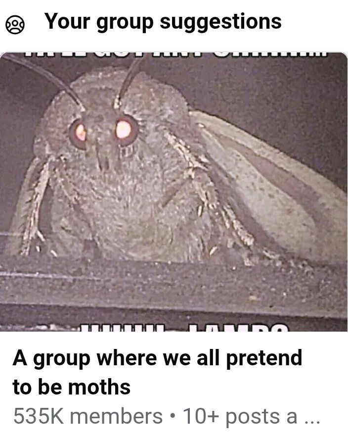 🌈 Mega 🌈🐸 tweet media