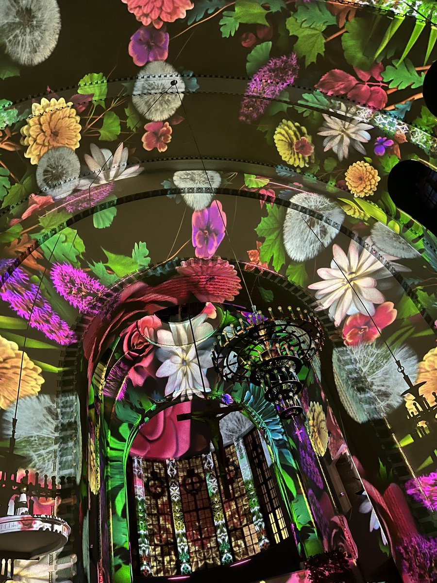 Wutumsmom tweet media