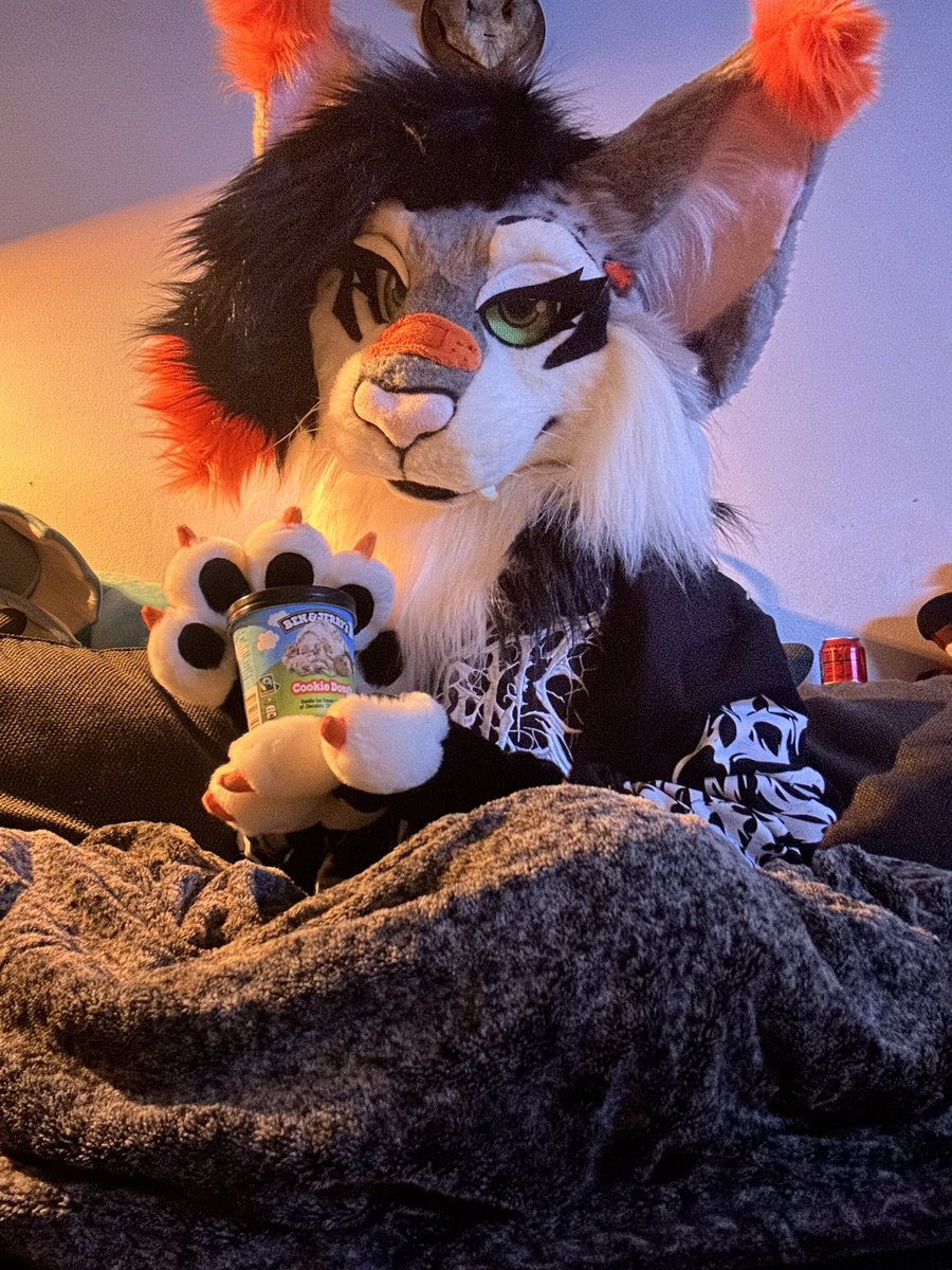 🌟🌘Kenya hyena & Unity lynx🌒🌟 tweet media