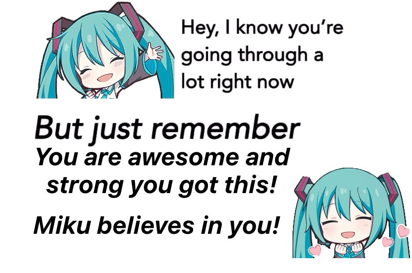miku daily tweet media