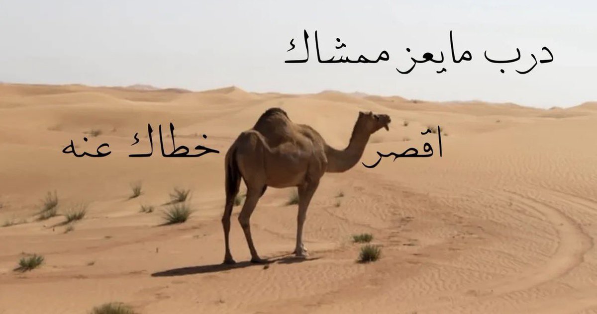 ⁪⁬⁪⁬⁮⁪⁬⁪⁬⁮ ⁪⁬⁪⁬⁮⁪⁬⁪⁬⁮ ⁪⁬⁪⁬⁮⁪⁪⁬⁪⁬⁮⁪⁬⁪⁬َ (@u7inii) on Twitter photo 