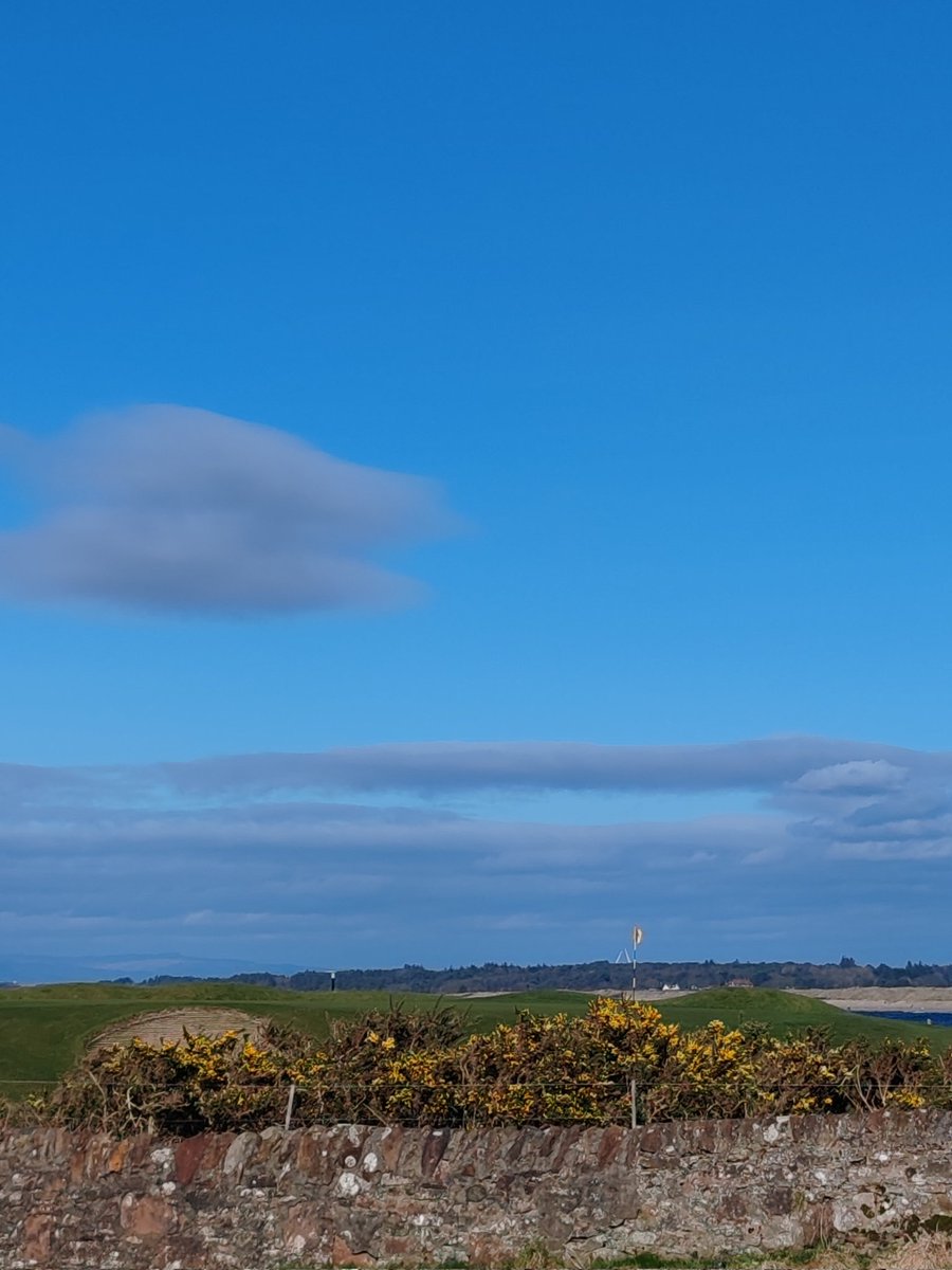 Prestwick St Nicholas tweet media