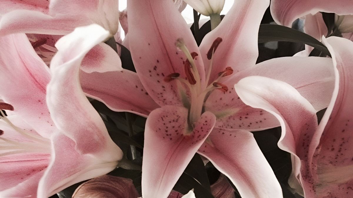 Jen⭐️ || mooncovey era tweet media