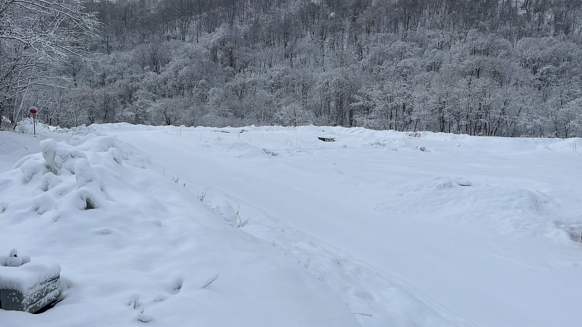 バリバリモーターパーク tweet media