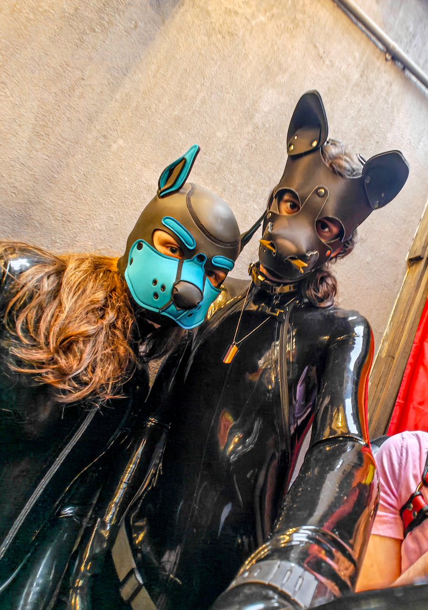 alt 🇬🇬🐺 tweet media