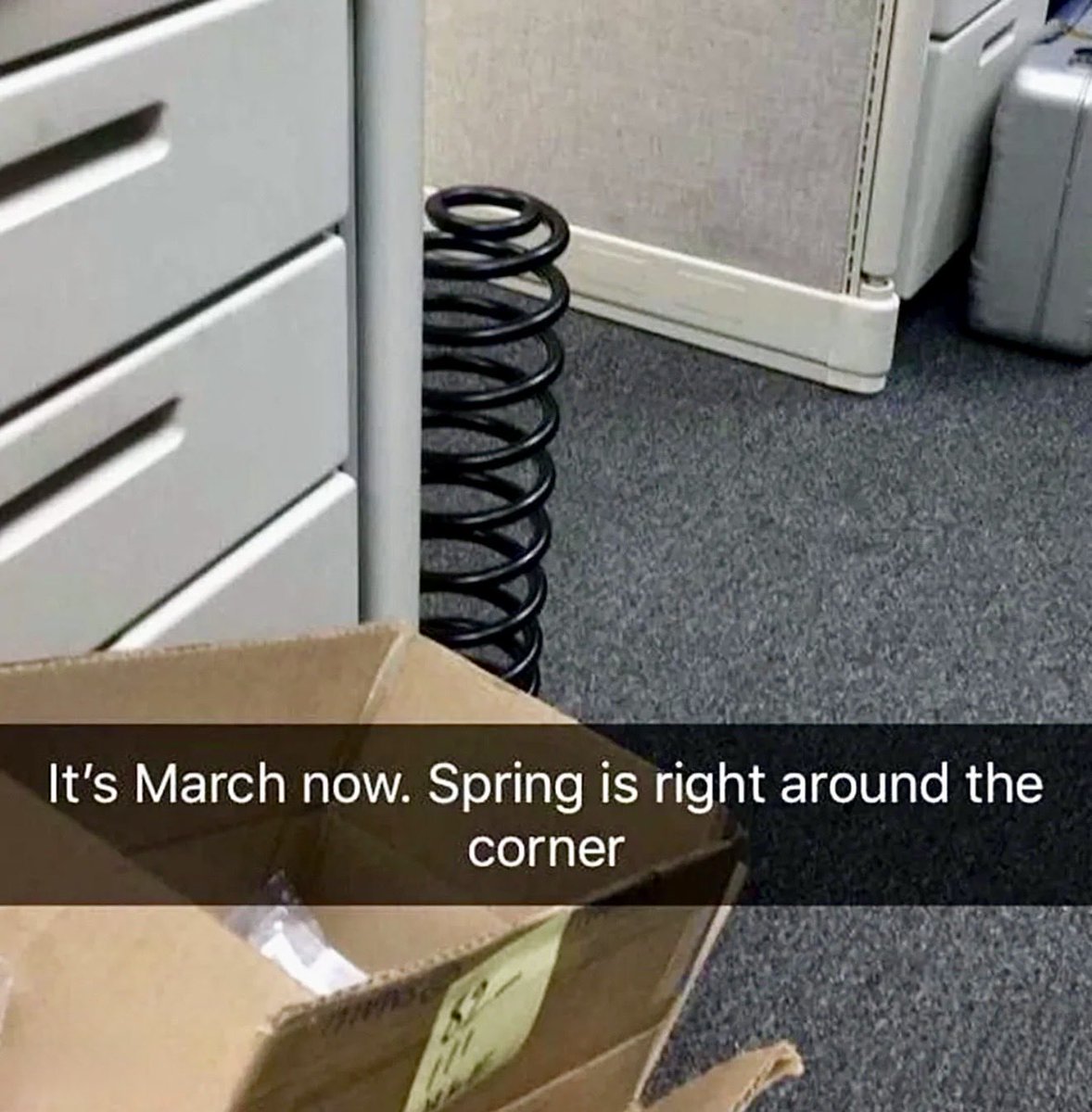 Wild Sentences (@wildsentences) on Twitter photo 