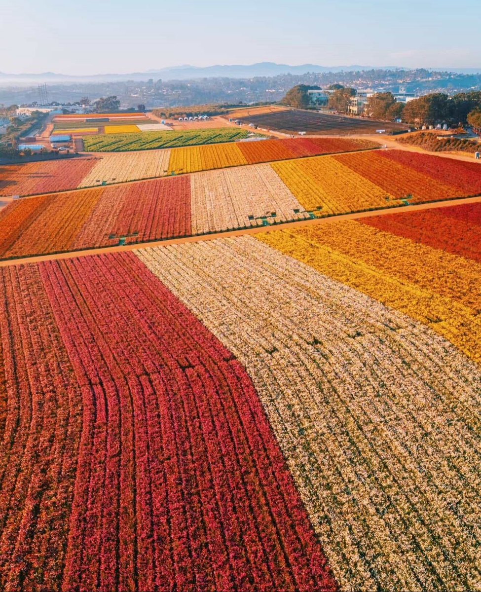 jameson (big deck energy) tweet media