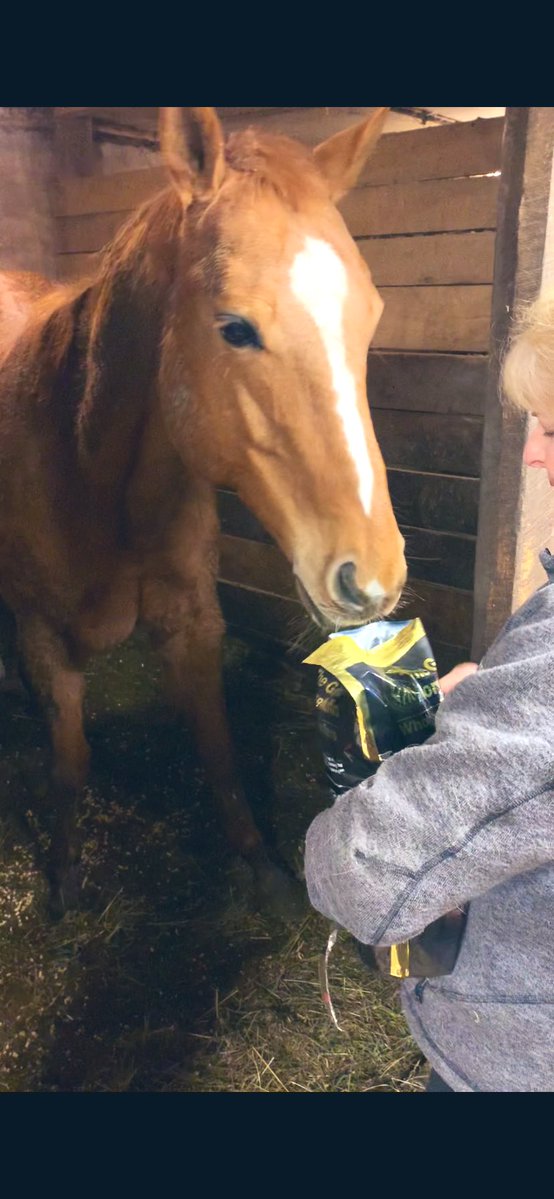 Sherrie Courtney tweet media