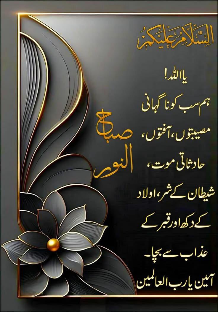 نصراللہ tweet media