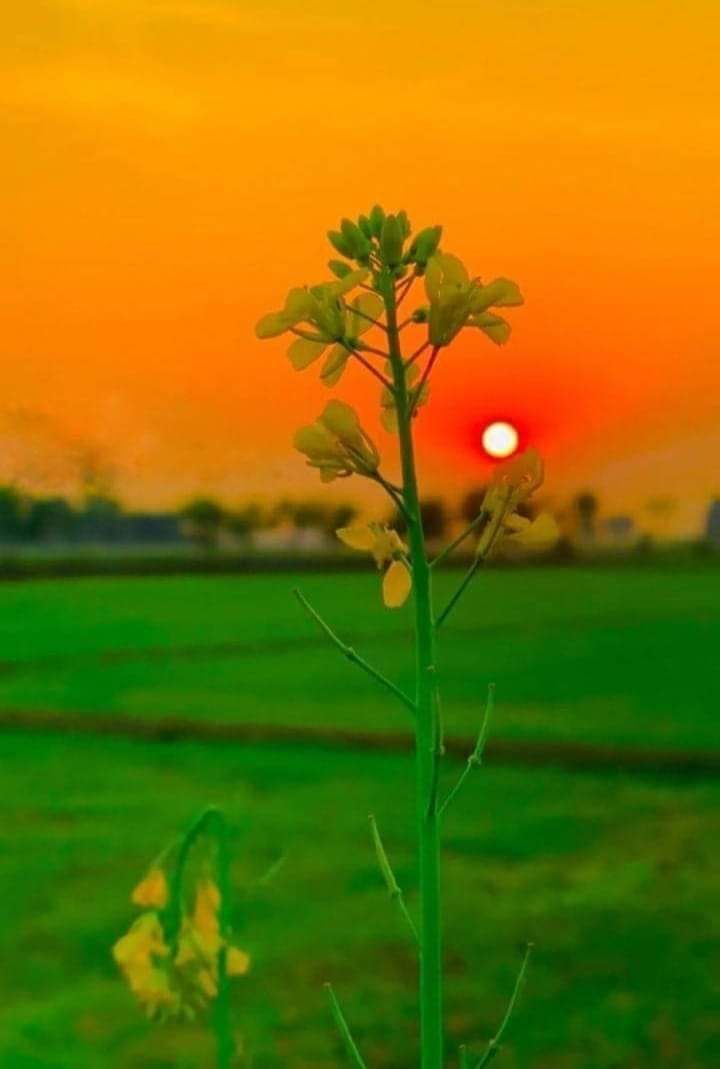 𝗕𝘂𝘀𝘆 𝗚𝗶𝗿𝗹 🥀 tweet media