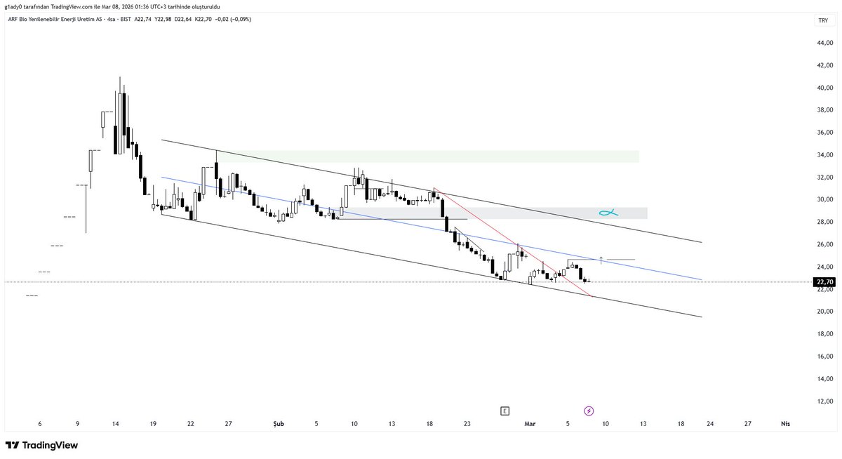 serkan/garipyolcu tweet media