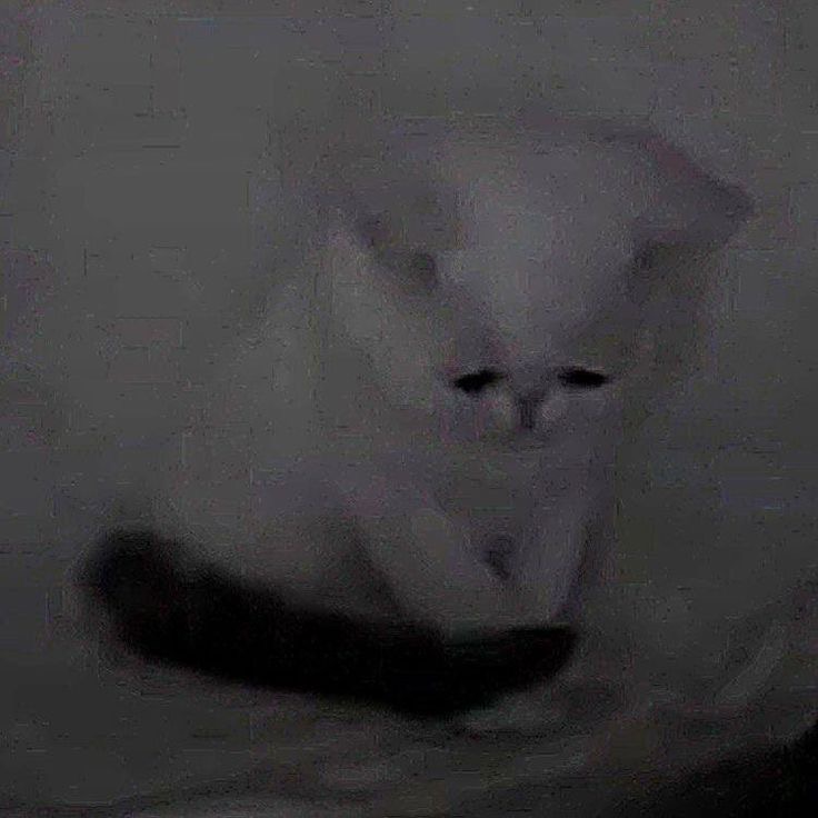 Pickup Truck Destroyer tweet media