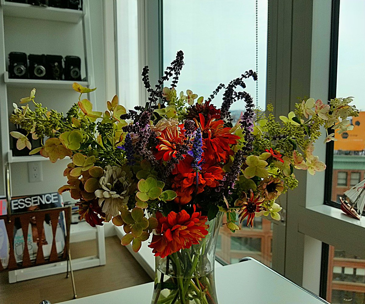 Philomena Asante, MD MPH tweet media